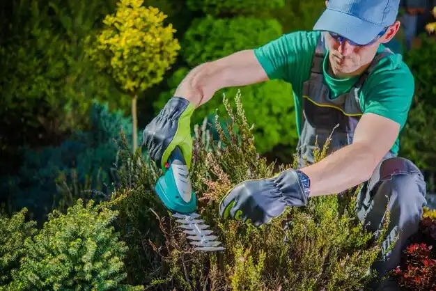 landscaping services Tilden